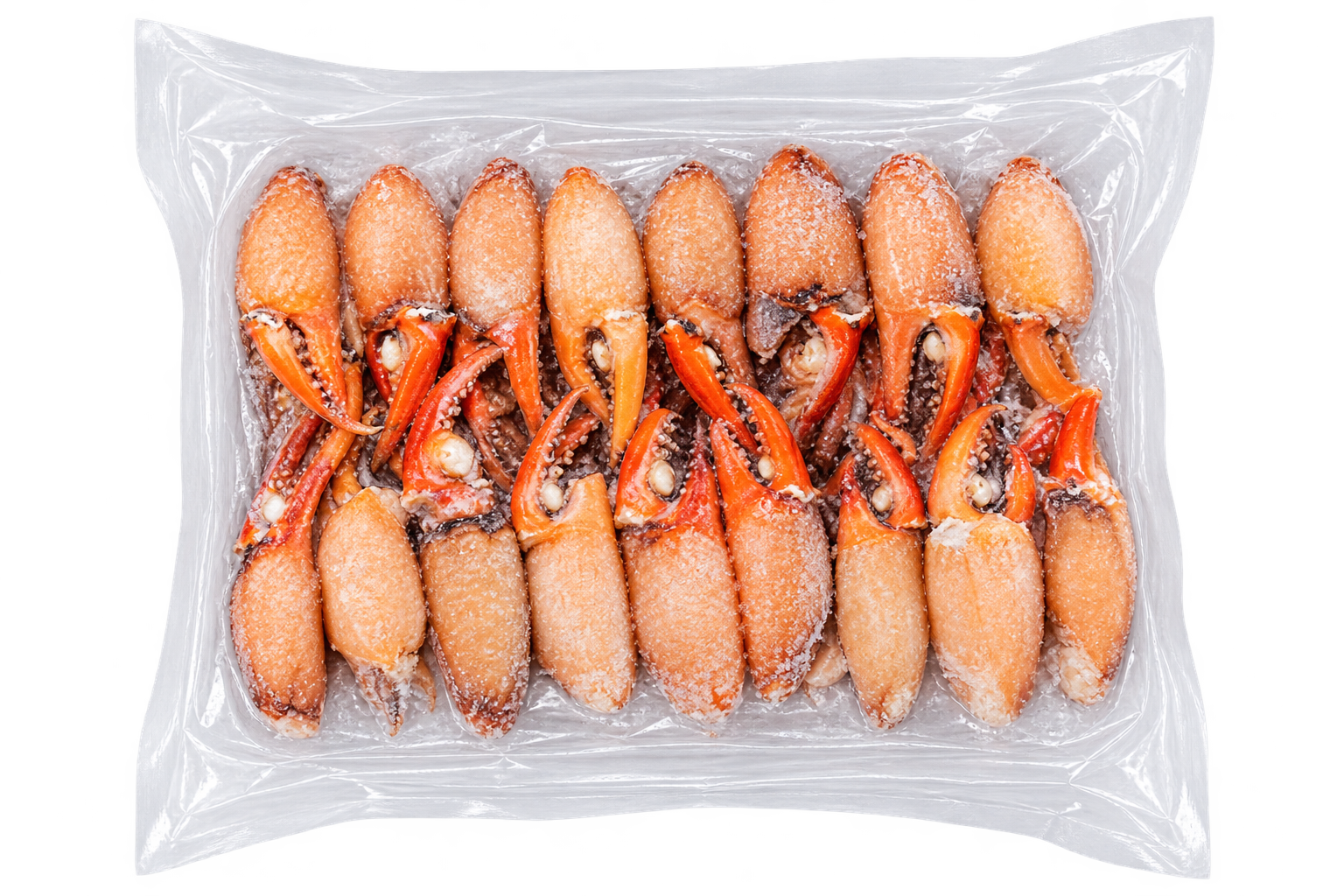 Capit Kepiting